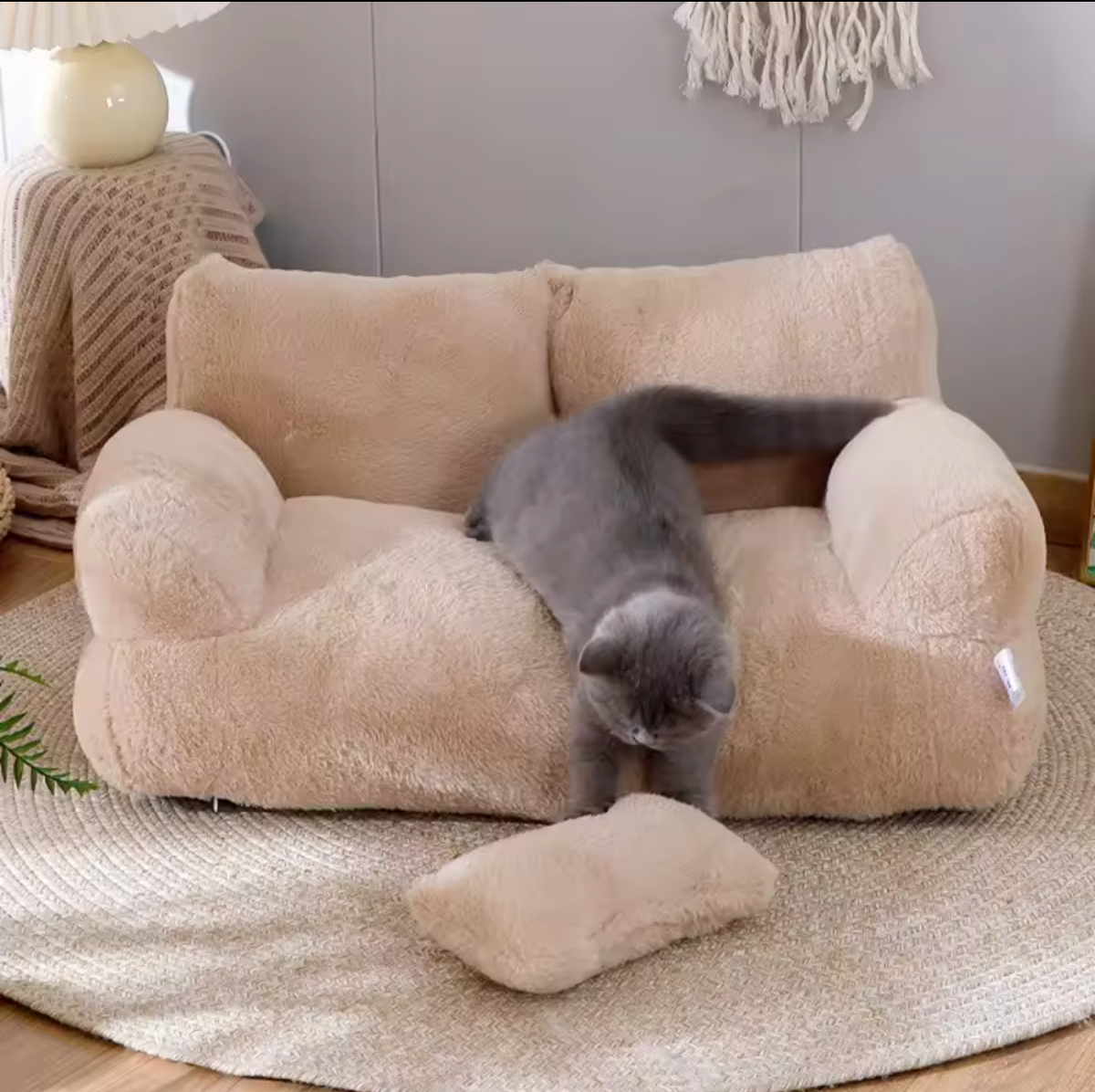 Le Sofa Câlin Toudou — canapé douillet pour chat et petit chien — vue 3